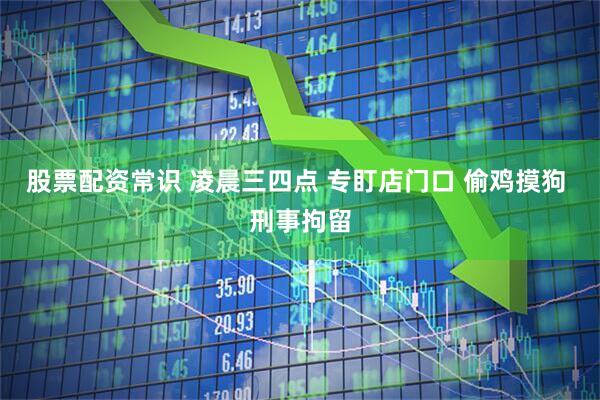 股票配资常识 凌晨三四点 专盯店门口 偷鸡摸狗 刑事拘留