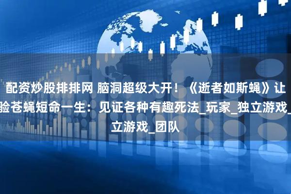 配资炒股排排网 脑洞超级大开！《逝者如斯蝇》让你体验苍蝇短命一生：见证各种有趣死法_玩家_独立游戏_团队