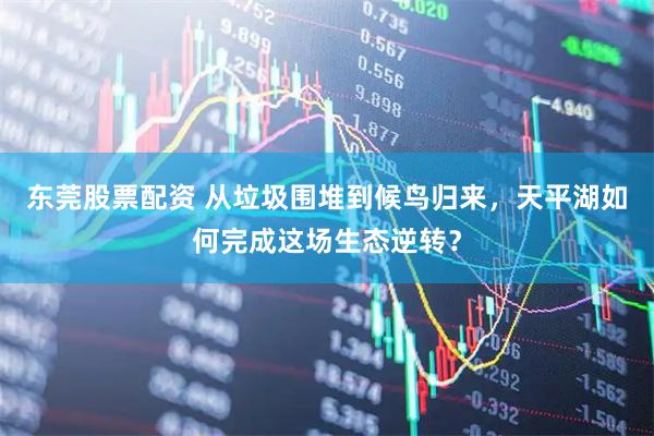 东莞股票配资 从垃圾围堆到候鸟归来，天平湖如何完成这场生态逆转？