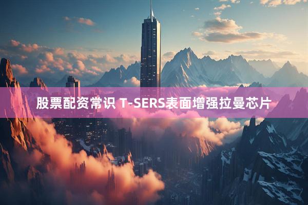 股票配资常识 T-SERS表面增强拉曼芯片